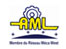logo AML